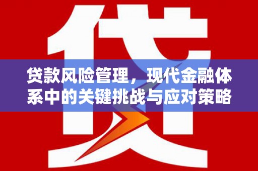 下城贷款风险管理，现代金融体系中的关键挑战与应对策略
