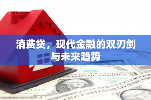 下城消费贷，现代金融的双刃剑与未来趋势
