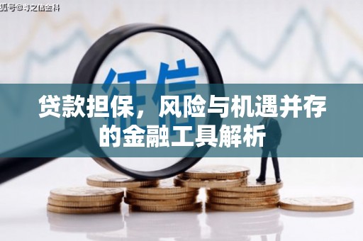 下城贷款担保，风险与机遇并存的金融工具解析