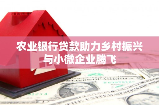 下城农业银行贷款助力乡村振兴与小微企业腾飞