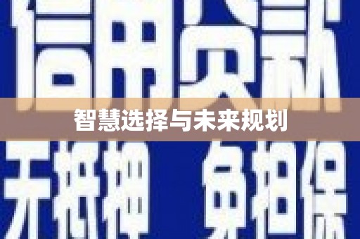 下城智慧选择与未来规划