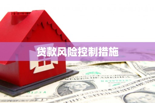 下城贷款风险控制措施