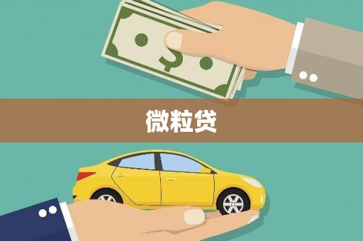 下城微粒贷
