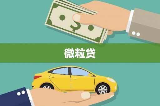 下城微粒贷