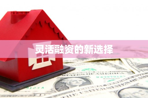 下城灵活融资的新选择