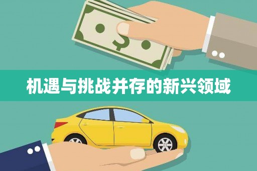 下城机遇与挑战并存的新兴领域