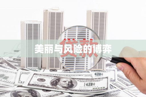 下城美丽与风险的博弈