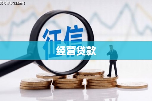 下城经营贷款