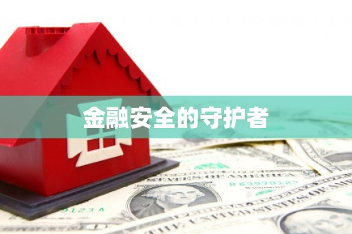 下城金融安全的守护者