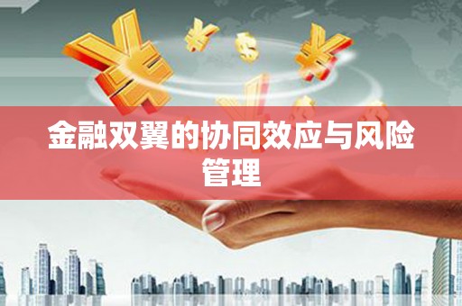 下城金融双翼的协同效应与风险管理