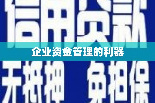 下城企业资金管理的利器