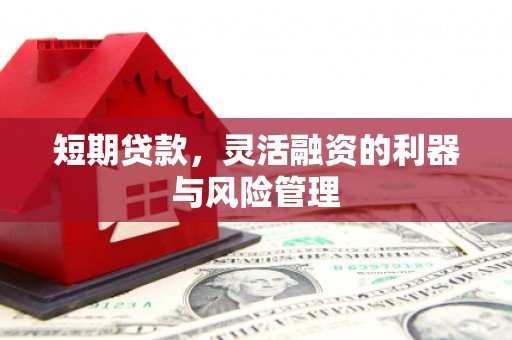 下城短期贷款，灵活融资的利器与风险管理