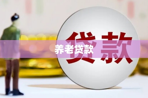 下城养老贷款